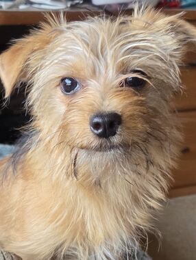 Meet your Posher, Barbara